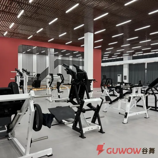 Professional Commercial Strength Machine Sports Training Body Building Life Fitness PRO2 Se Leg Extension Press Prone Seated Leg Curl Fitness Gym Equipment